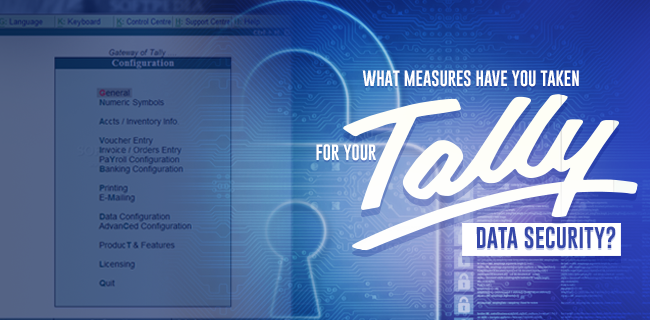 What measures have you Taken for your Tally Data Security?